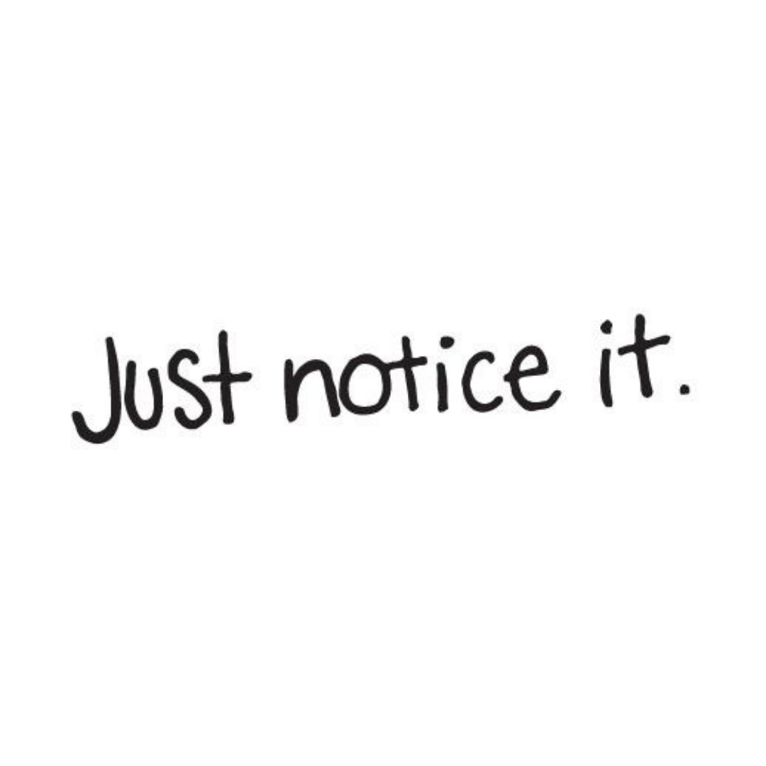 Just Notice It