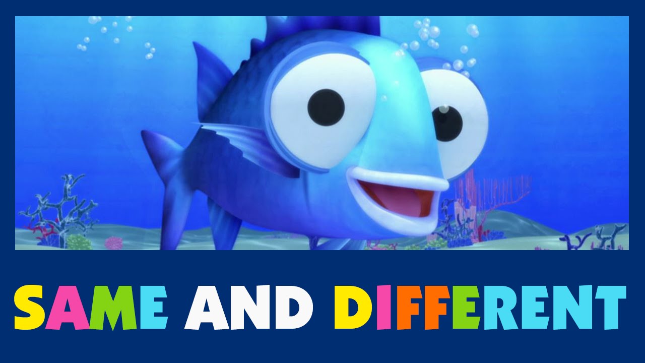 Same And Different