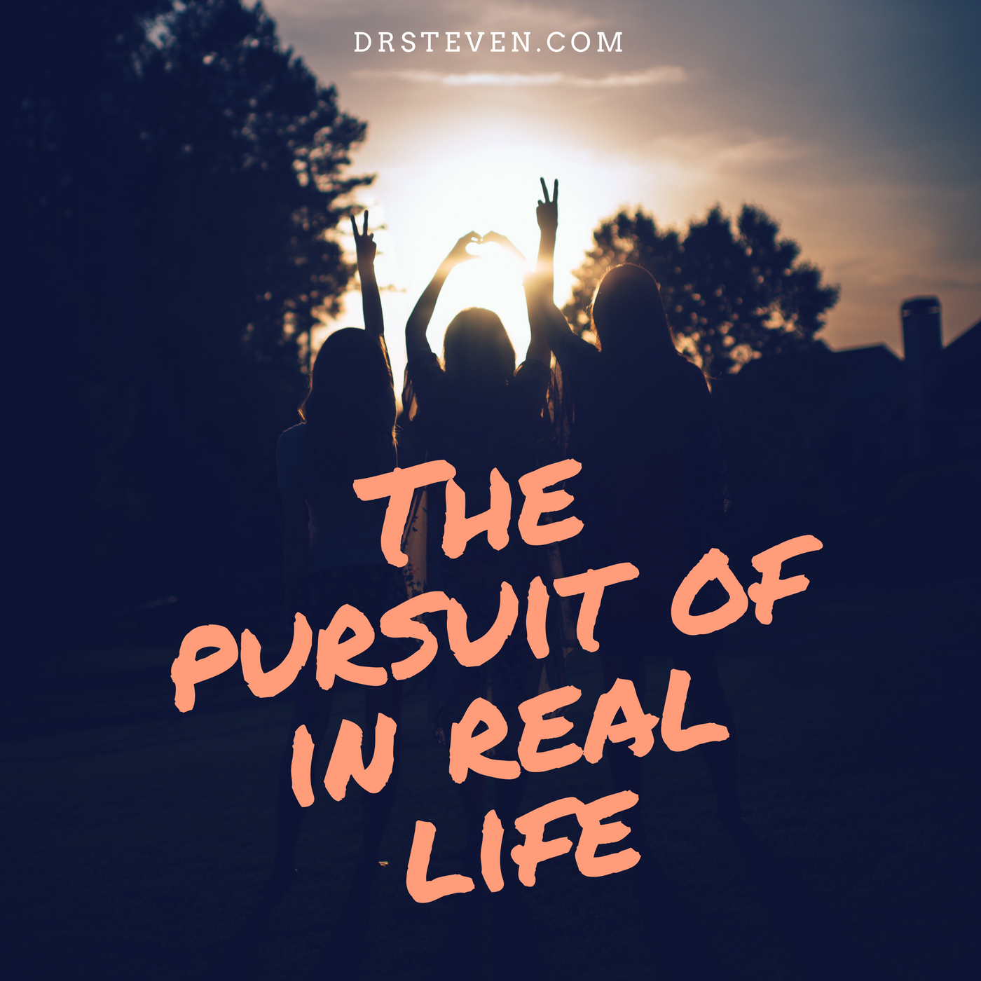 The Pursuit of In Real Life