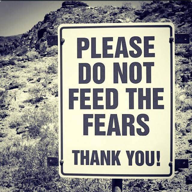 Please Do Not Feed The Fears