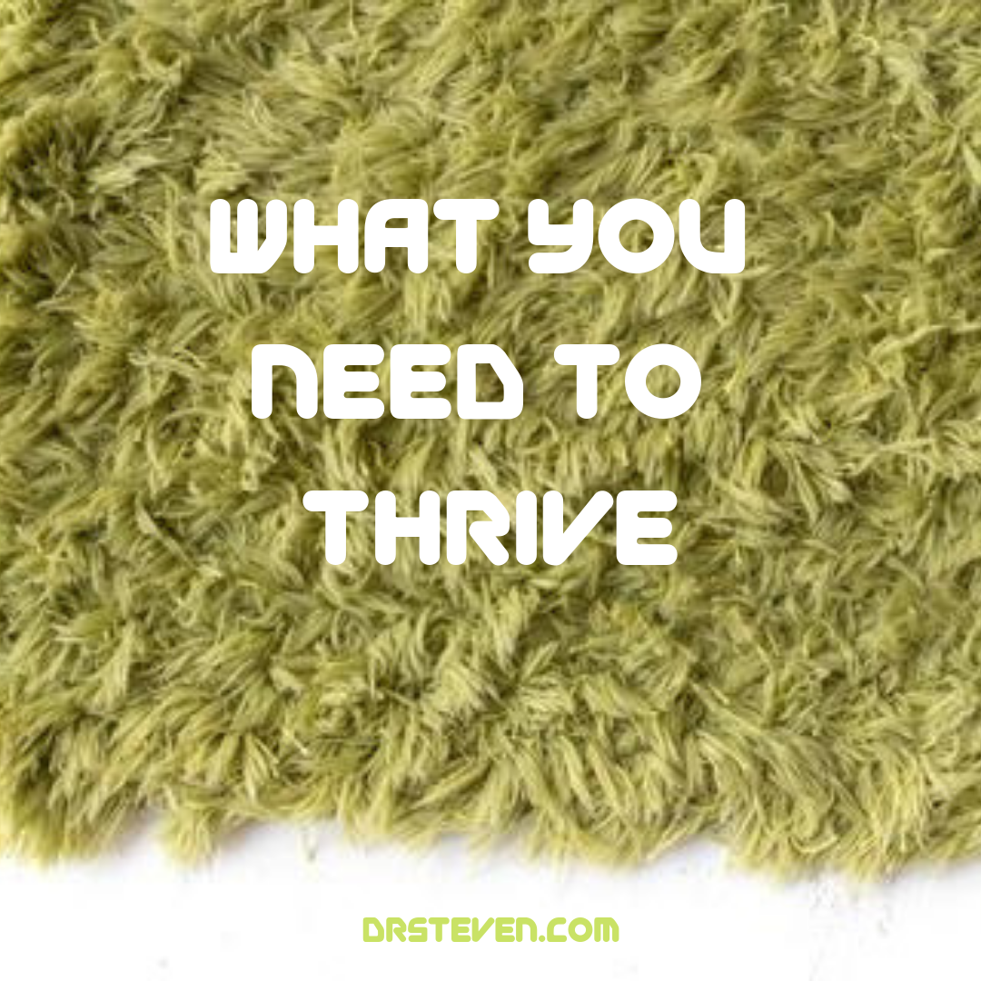 What You Need to Thrive